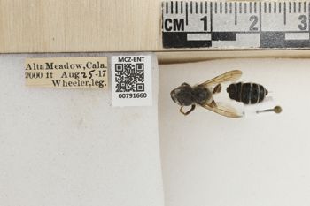 Media type: image;   Entomology 791660 Aspect: Labels